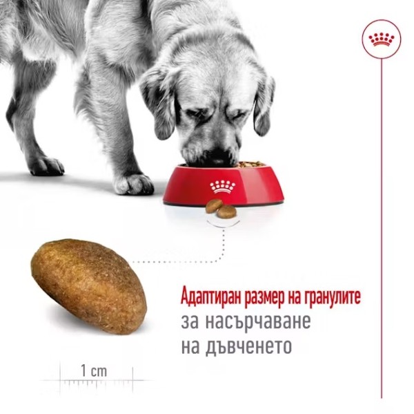 Royal Canin Dog Adult Maxi - Пълноценна суха храна за кучета от едри породи